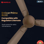Havells 1200mm Enticer BLDC Prime Ceiling Fan| Compatible with Regulator & Remote| Upto 55% Energy Saving|