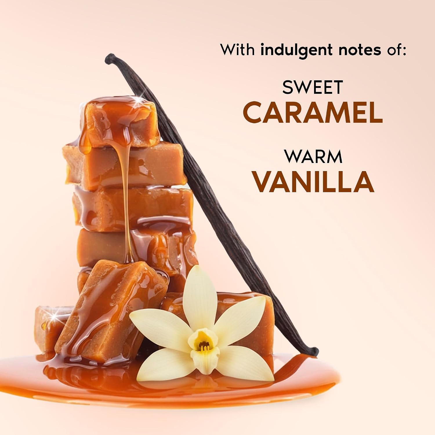 Nykaa Wanderlust Belgian Caramel Toffee Eau De Parfum I Travel size, mini Perfume for Women – 16 ml I Caramel & Vanilla Perfume | Long–Lasting,...