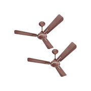Havells 1200mm Ambrose Energy Saving High Speed Ceiling Fan| 2 Yr Warranty by Brand | (Pack of 2,...