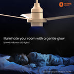 Orient Electric Uniquely Designed I Tome Pro 1200 mm BLDC Ceiling Fan with Remote | BEE 5 Star Rated Energy Efficient Fan | High Air Delivery, 3 Years...