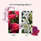 Nykaa Wanderlust English Country Rose Eau De Parfum I Travel size, mini Perfume for Women – 16 ml I Rose & fresh Lilly Perfume | Long–Lasting,...