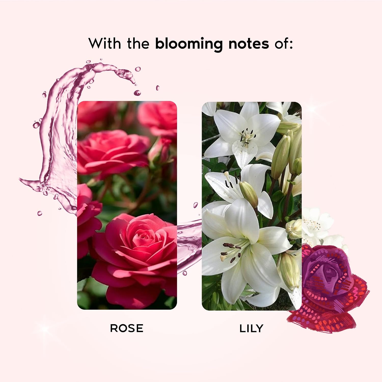 Nykaa Wanderlust English Country Rose Eau De Parfum I Travel size, mini Perfume for Women – 16 ml I Rose & fresh Lilly Perfume | Long–Lasting,...