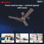 Havells 1200mm Enticer BLDC Prime Ceiling Fan| Compatible with Regulator & Remote| Upto 55% Energy Saving|
