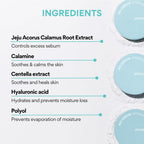 Innisfree No Sebum Mineral Natural Powder 5g