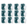 Bajaj Ivora HB LED Lamp 9W Cool Daylight B22 Bulb, Pack Of 12