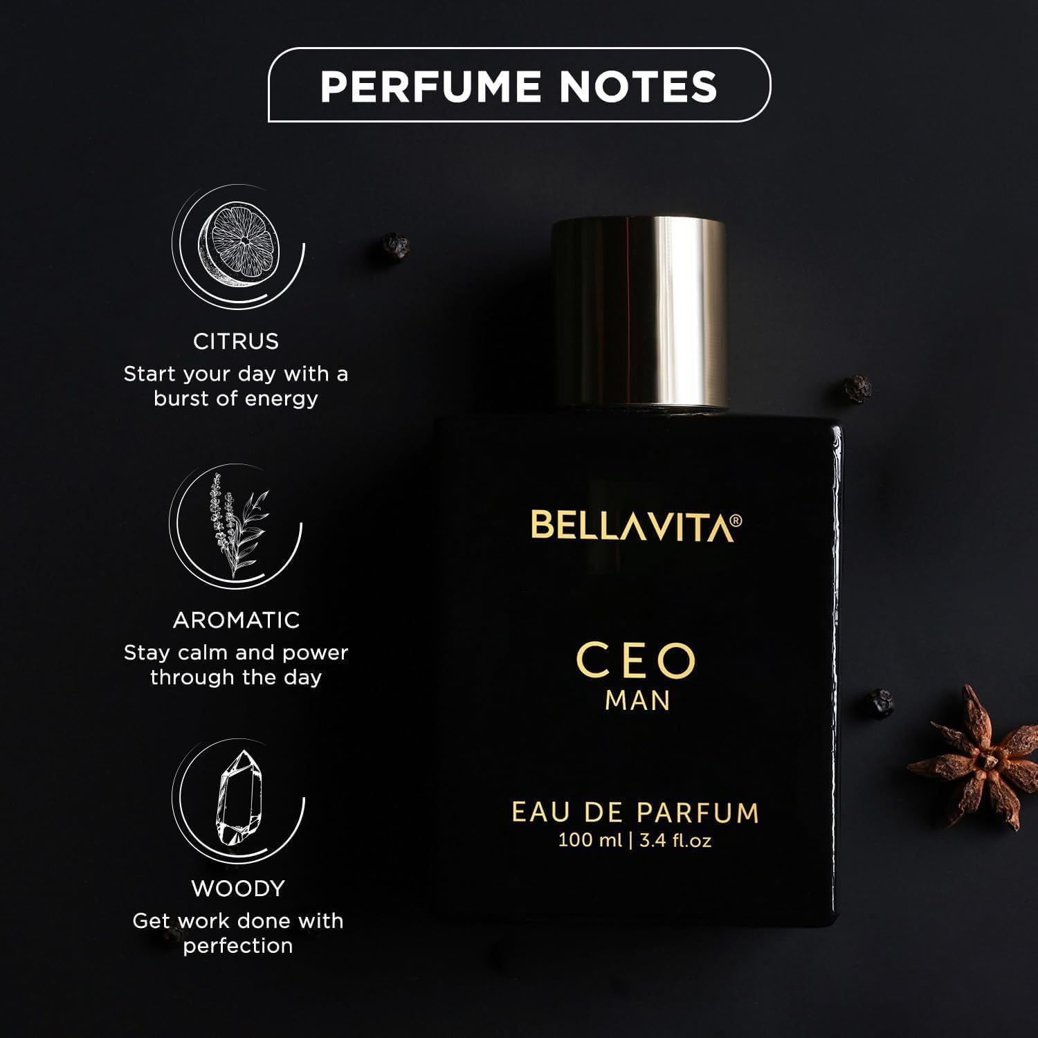 Bella Vita Luxury CEO Man | Long Lasting EDP 100ml