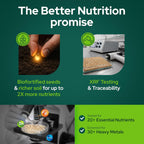 Better Nutrition Biofortified Wheat Macaroni Pasta