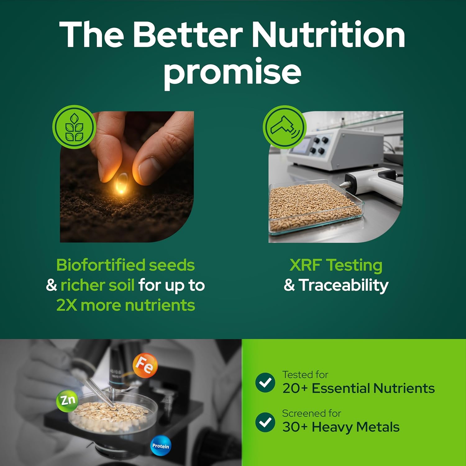 Better Nutrition Biofortified Wheat Macaroni Pasta