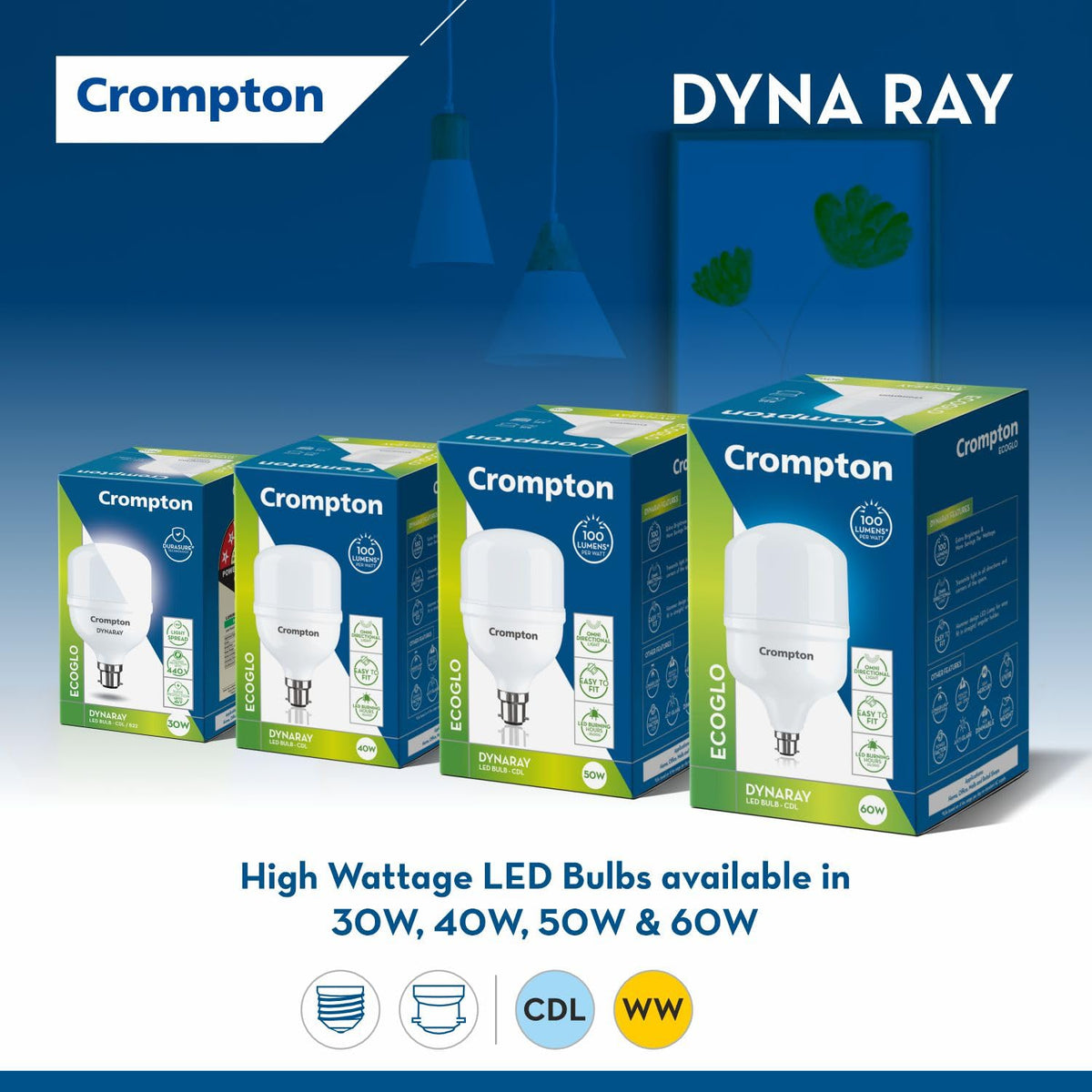 Crompton 50W LED Bulb B22 LED Bulb Combo (Cool Day Light) (Pack of 1, 50)