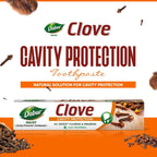Dabur Herb'l Clove 300g (200g + 100g)