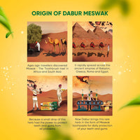 Dabur Meswak Complete Oral Care Toothpaste - 500g