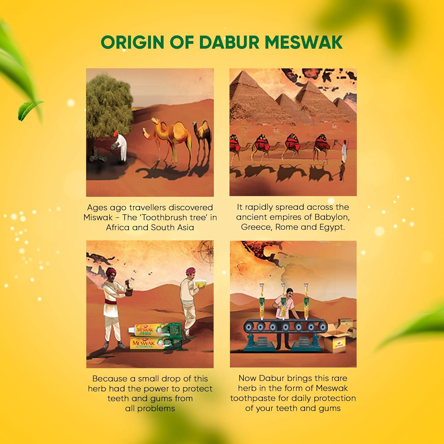 Dabur Meswak Complete Oral Care Toothpaste - 500g