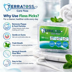 Dental Floss Picks [100 Pcs] 2 box of 50 pcs