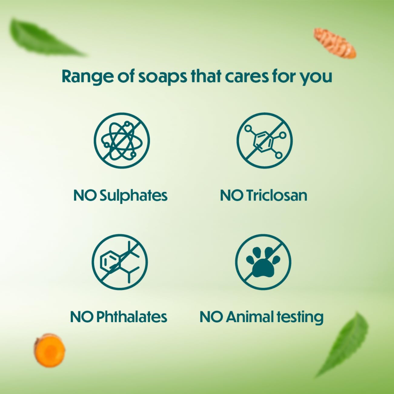 Himalaya Herbals Protecting Neem and Turmeric Soap, 75g