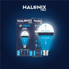 Halonix 10W Up Down Glow Blue & White 3 Modes LED | Switch On-Off to Change Color | Decorative B22 Base | Pack of 4