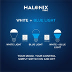 Halonix 10W Up Down Glow Blue & White 3 Modes LED | Switch On-Off to Change Color | Decorative B22 Base | Pack of 4