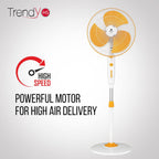 Havells 400mm High Speed Pedestal Fan | Strong & Stable Base | Thermal Overload Protector | Jerk Free Oscillation, Smooth Swing Operation | 2 Year Warranty | White & Yellow | Trendy