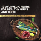 Himlaya Ayurveda Gum Care Toothpaste 150g