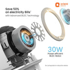 Orient Electric Harrier BLDC Stand Fan with Remote | Energy Saving Fan, Whisper Quiet 52 dB Operation | 90° Oscillation, Tilt & Height Adjustment | 2 Year Warranty, White