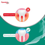 Pepsodent Gum Care Expert Protection Toothpaste