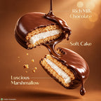Sunfeast Dark Fantasy Yumfills Whoopie Pie, Chocolate Chip, 253g