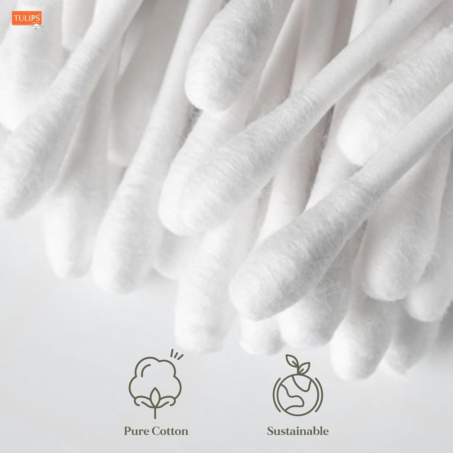 TULIPS Premium Cotton Ear Buds/Swabs with white PAPER Sticks 80 Stick (Pack of 3)
