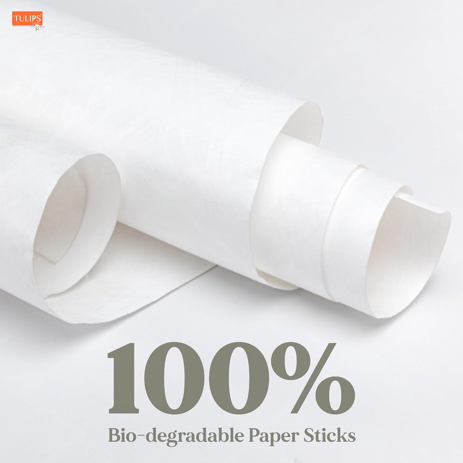 TULIPS Premium Cotton Ear Buds/Swabs with white PAPER Sticks 80 Stick (Pack of 3)