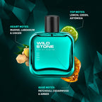 Wild Stone Edge Edp Premium Perfume For Men,100 Ml