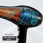 VEGA PROFESSIONAL Pro Dry 2000 Watts Hair Dryer with Diffuser & Nozzle Attachments for Every Day Styling at Home| Cool Shot Button and Combination of 4 Heat & 2 Speed Settings, Black, (VPVHD-13)