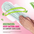 Sofy AntiBacteria XL - 290mm | 48 Count pads