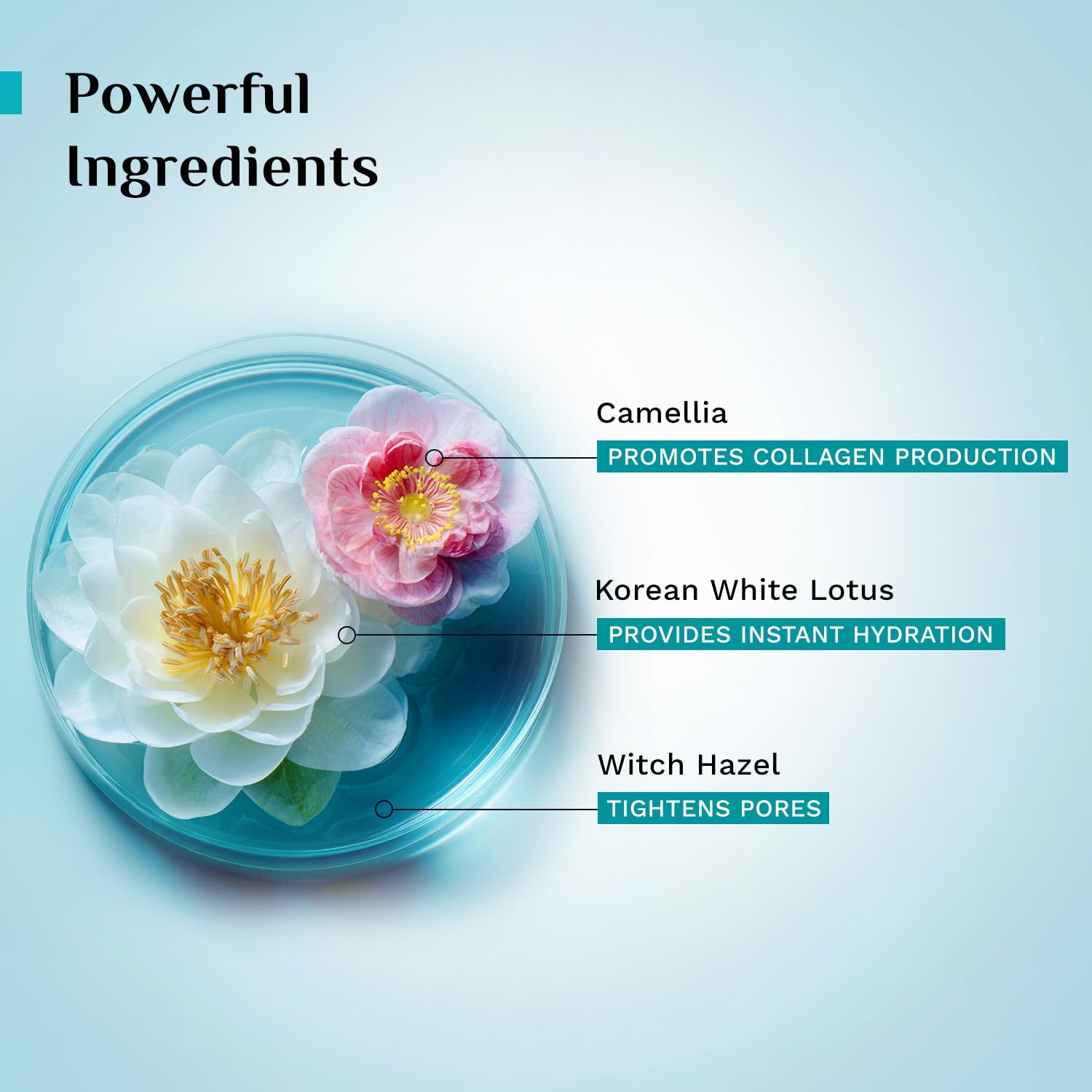 Pilgrim Korean Beauty White Lotus Refreshing Face Mist &amp; Toner