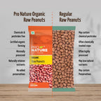 Pro Nature Organic Raw Peanuts- 1kg |