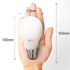 Orient Electric Eternal Shine Moodlight B22 Base, Color Changing 9W LED Bulb, Pack of 1 (White, Warm White, Neutral White)