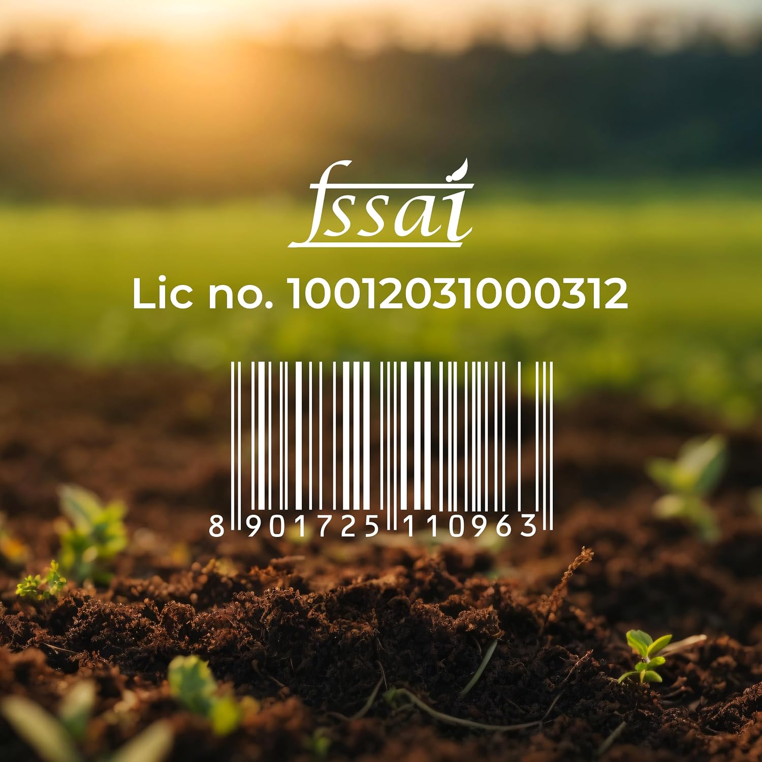 Aashirvaad Organic Chana Dal, 500 g