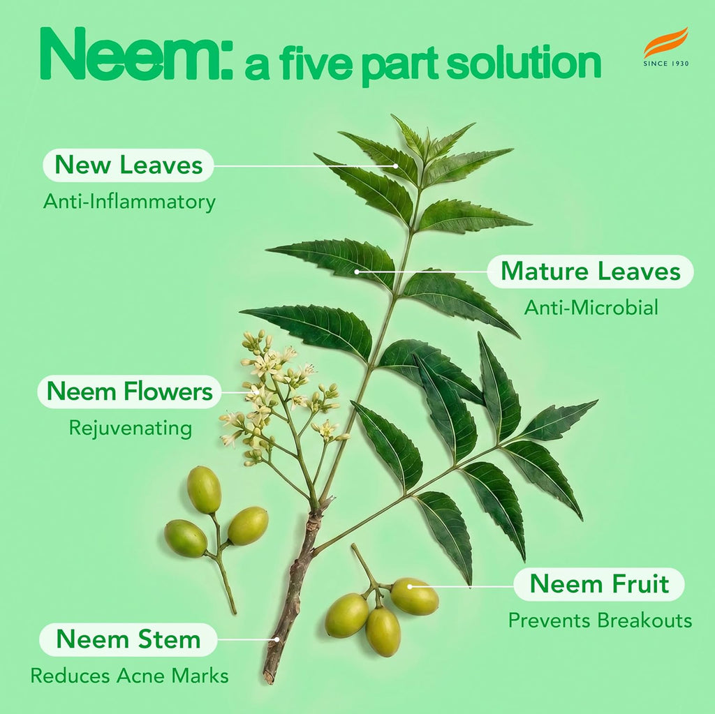Purifying Neem Face Serum | 2% Natural Salicylic Acid &amp; Cica &amp; Neem |15 ml