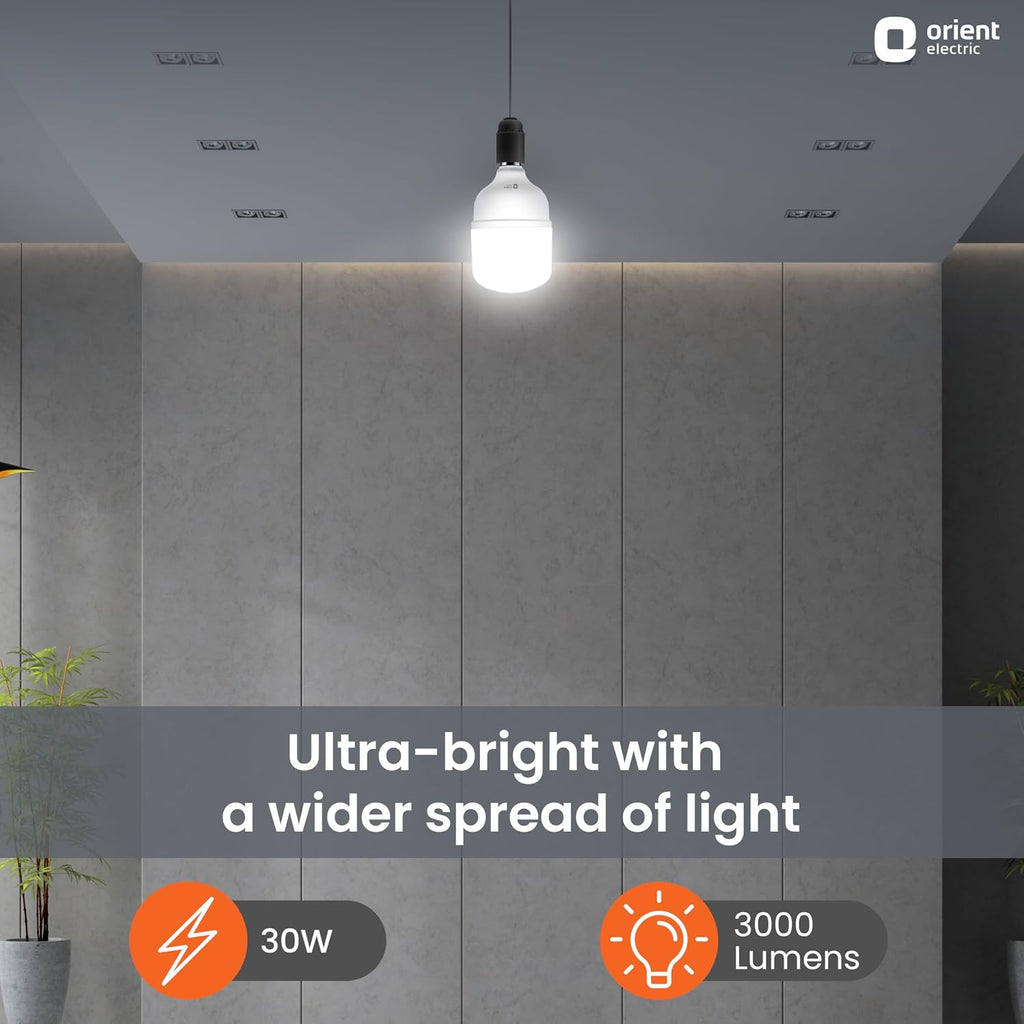 Orient Electric Eternal Shine LED Bulb 30W, B22d Cap, 6500K (Pack of 2)