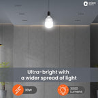 Orient Electric Eternal Shine LED Bulb 30W, B22d Cap, 6500K (Pack of 2)