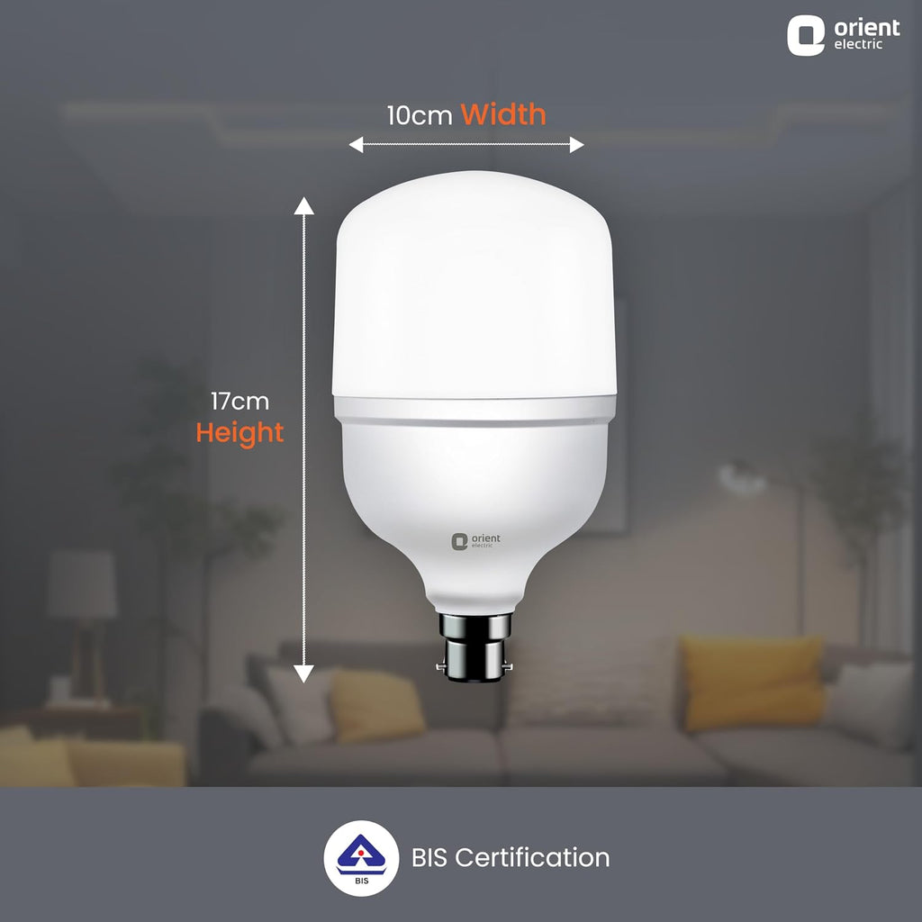Orient Electric Eternal Shine LED Bulb 30W, B22d Cap, 6500K (Pack of 2)