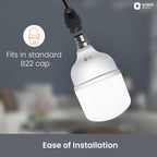 Orient Electric Eternal Shine LED Bulb 30W, B22d Cap, 6500K (Pack of 2)