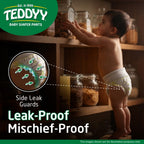 TEDDYY Easy Baby M Size Diaper Pant Style | 74 Count (Medium) | 7–12 kg (Pack of 1)