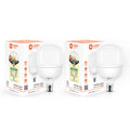 Orient Electric Eternal Shine LED Bulb 30W, B22d Cap, 6500K (Pack of 2)