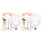 Orient Electric Eternal Shine LED Bulb 30W, B22d Cap, 6500K (Pack of 2)