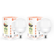 Orient Electric Eternal Shine LED Bulb 30W, B22d Cap, 6500K (Pack of 2)