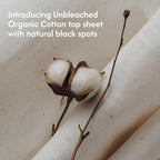 Anandi Panty Liners For Women | Daily Use Liners 190mm - 80 Pieces | Biodegradable Compostable Organic Liner | Certified 100% Organic Cotton Top Sheet