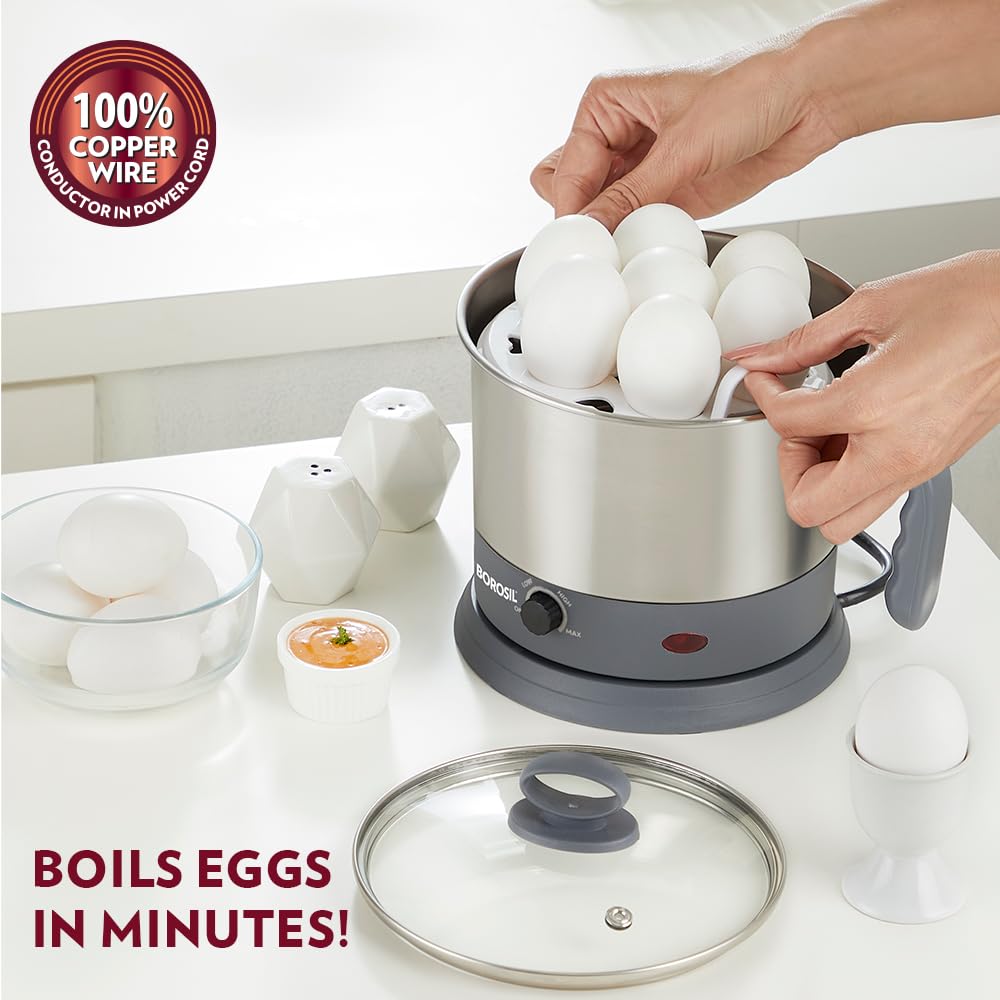Borosil 1.3L Quick Made in India Electric Steel Kettle with Steamer | Temperature Control Knob, Overheat Protection | For Boiling & Steaming Vegetables, Momo, Egg, Tea, Coffee | 1 Year Warranty