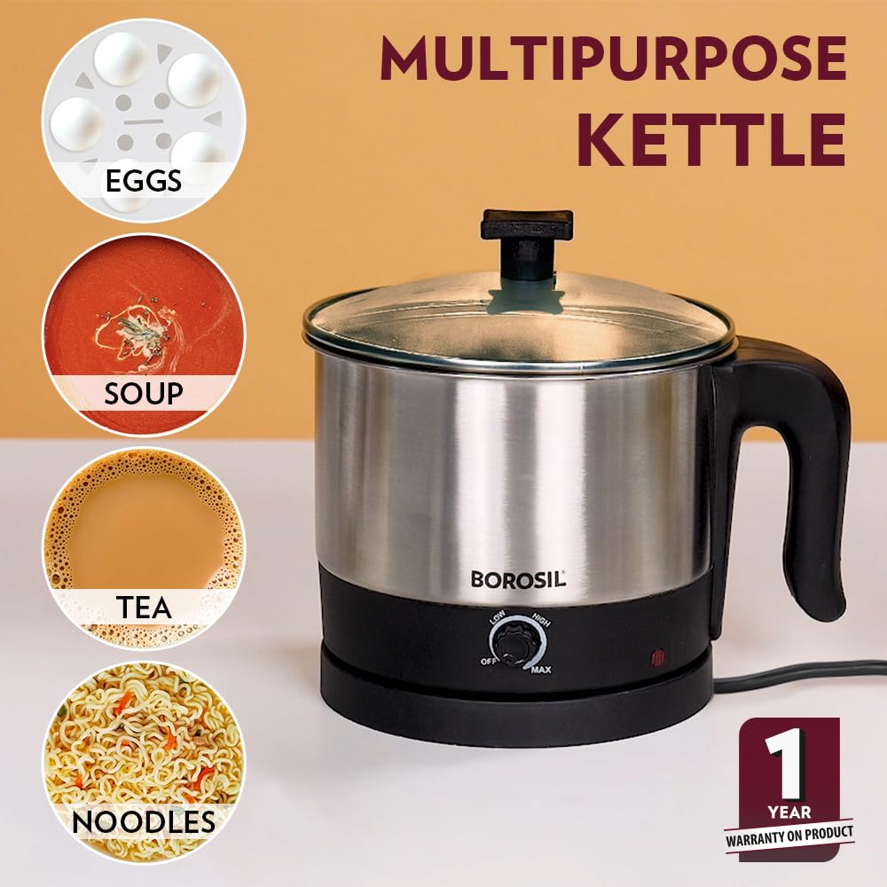 Borosil 1 L Omni Stainless Steel Electric Kettle | Made in India | Temperature Control Knob, Overheat Protection | 360° Rotating Base | Auto Cut-Off | 1 Year Warranty