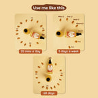 ROOT and SOIL Wood-Pressed Sweet Almond Oil for Babies - 100 ML,