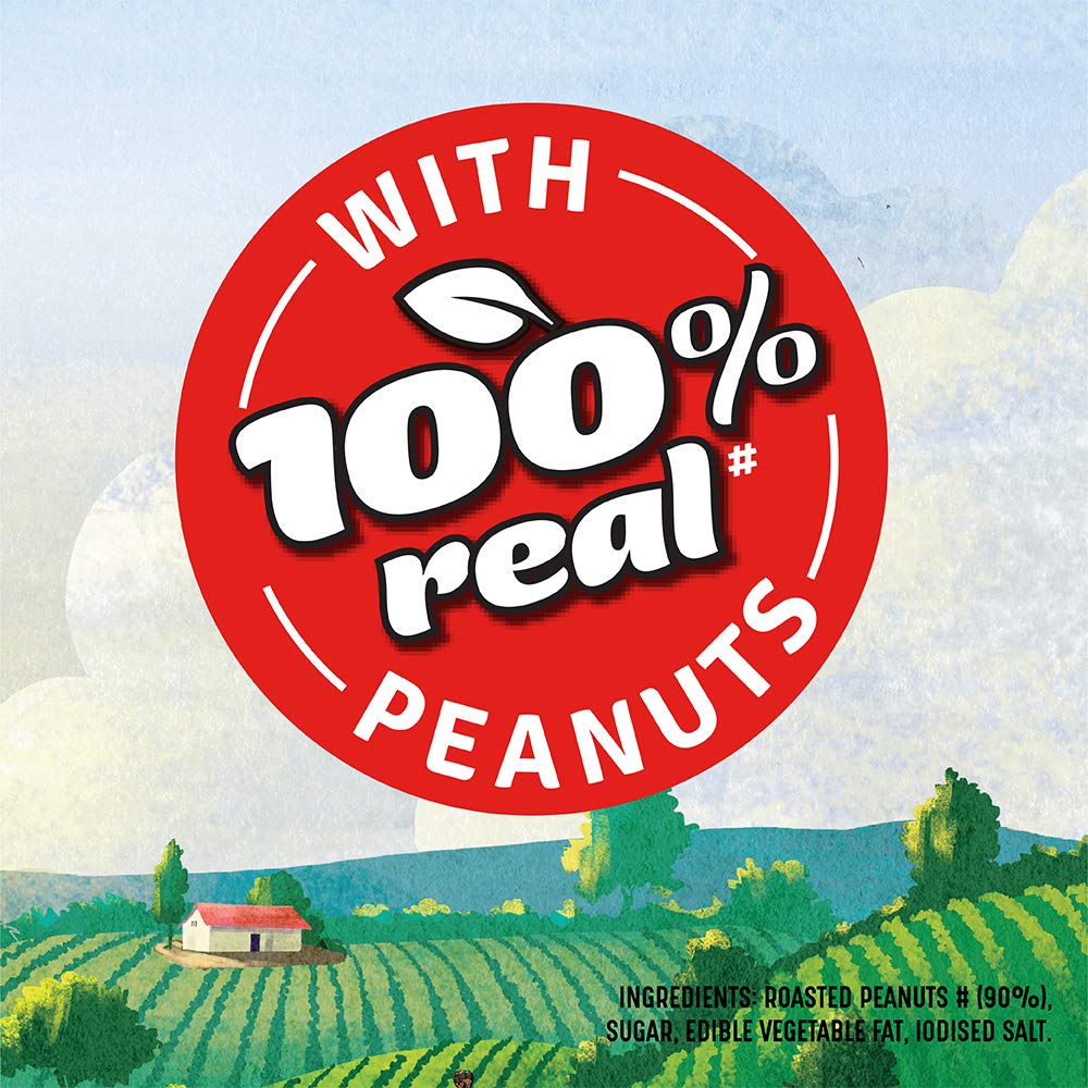 Kissan Creamy Peanut Butter | High Protein | With Perfectly Roasted Peanuts | Naturally Gluten Free|| 350 g (Pack of 2)