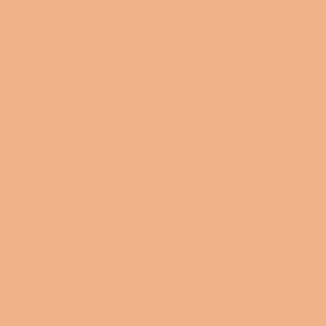 RENEE Everyday CC + BB Hybrid Cream with SPF 20 - Butter Vanilla ,20g