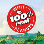 Kissan Creamy Peanut Butter | High Protein | With Perfectly Roasted Peanuts | Naturally Gluten Free|| 350 g (Pack of 3)